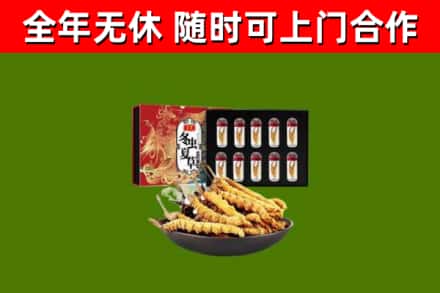 泰顺县回收冬虫夏草价格